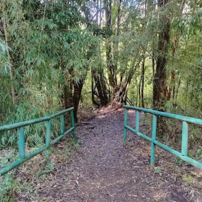 Trekking Sendero Solitario | Parque Nacional Vicente Pérez Rosales