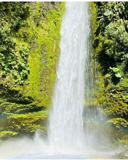 Waterfalls + Canopy Tour + Green Lagoon