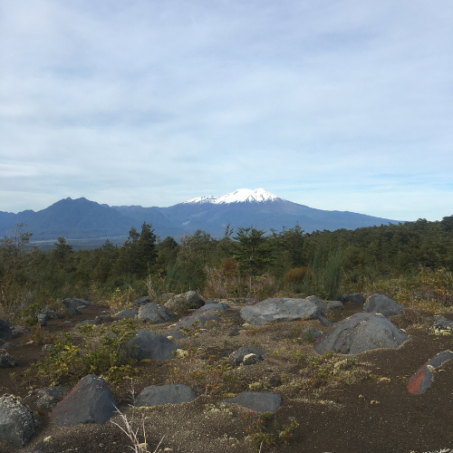 Trekking Sendero Solitario | Parque Nacional Vicente Pérez Rosales