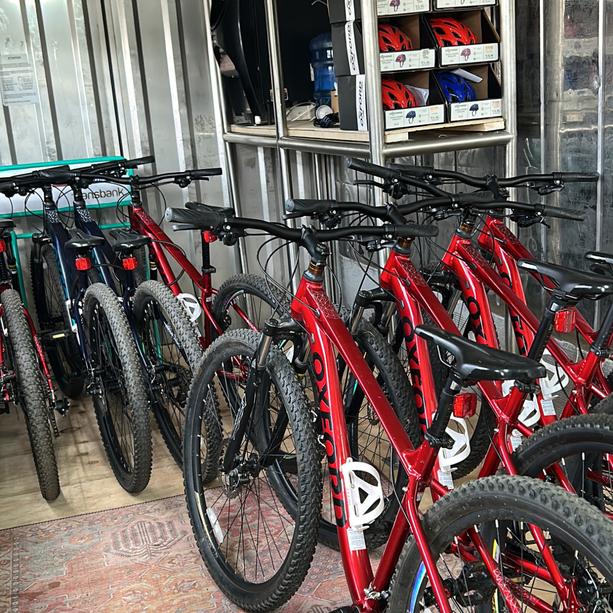 Bicycles 4 hrs