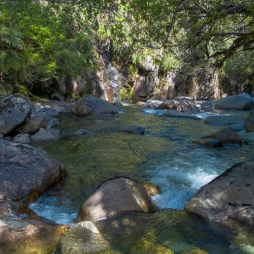 Tour Patagonia verde