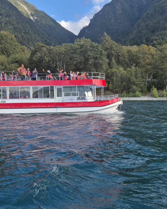 Navegación Lago Todos los Santos