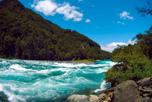 Traslado Ensenada-Petrohué