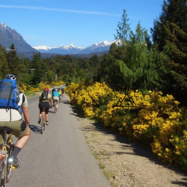 Bicicletas medio dia