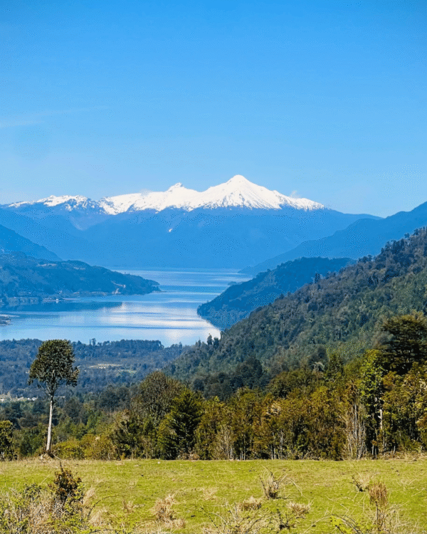Traslado Ensenada-Cochamó