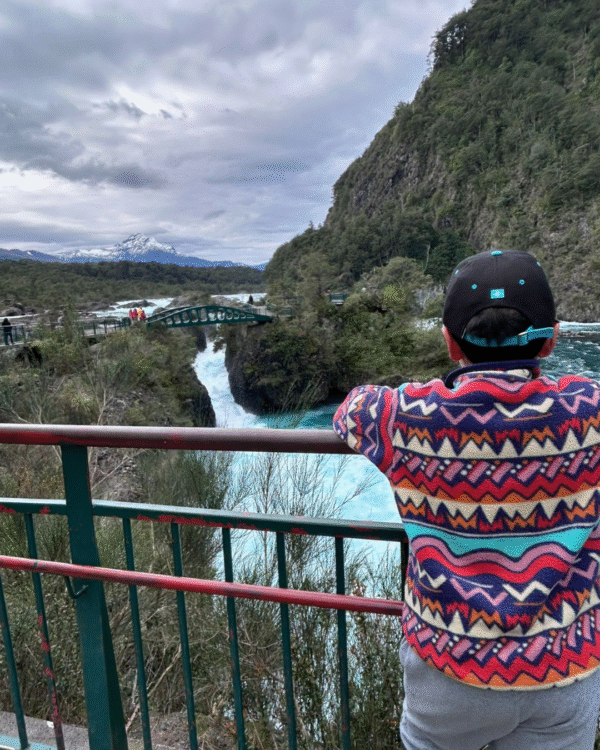 Volcán Osorno + Petrohué+navegación