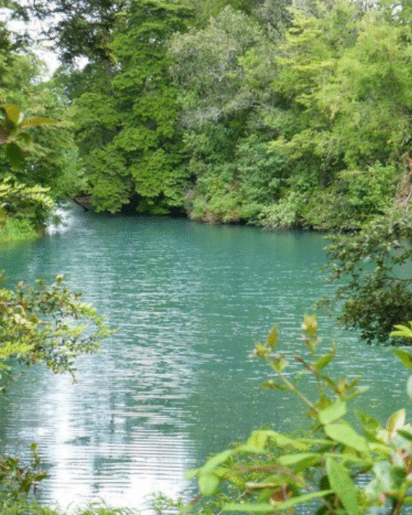 Cascadas+Canopy +Laguna Verde