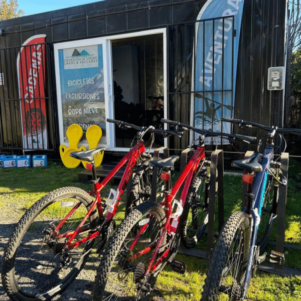 Bicicletas medio dia