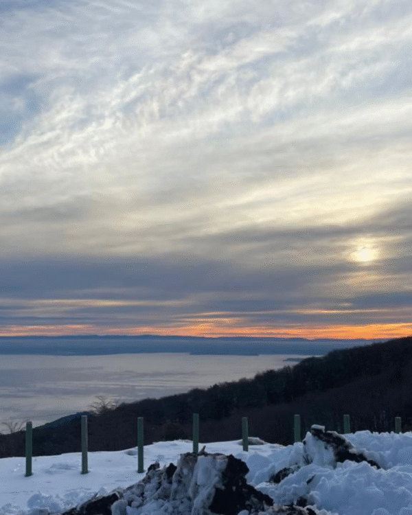 Volcán Osorno + Petrohué+navegación