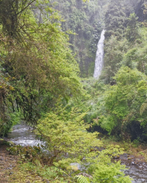 Traslado Ensenada- Cascadas
