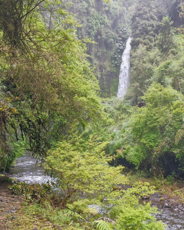 5 Traslado Ensenada- Cascadas