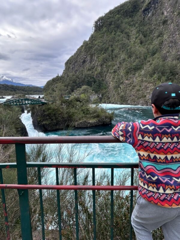 Traslado Ensenada-Petrohué